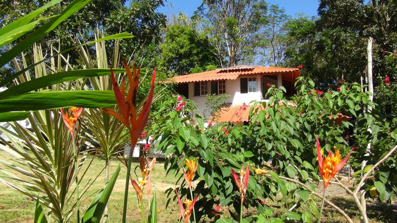Cebaco Sunrise Lodge Isla Cebaco المظهر الخارجي الصورة