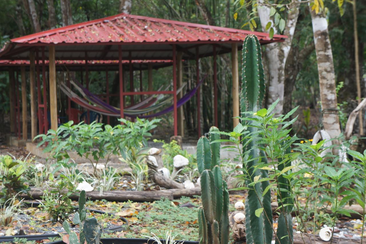 Cebaco Sunrise Lodge Isla Cebaco المظهر الخارجي الصورة